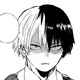 Shoto Todoroki 