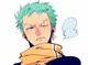 Protective Zoro