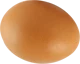 idiot egg