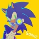 Sonic the hedgehog 