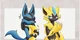 Lucario and Zeraora 