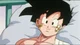 Teen Gohan
