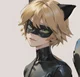 Cat Noir