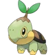 Turtwig