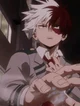 Todoroki Shoto