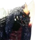 SpaceGodzilla