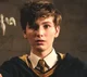 Newt Scamander 