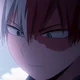 Shoto Todoroki