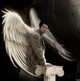 Castiel 