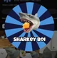 Sharky Boi