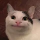 Beluga