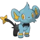 Shinx