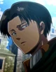 Levi Ackerman 