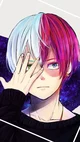 Shoto todoroki twin