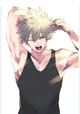 Bakugo katsuki 