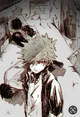 Katsuki Bakugou