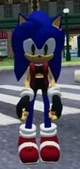 Sonica The Hedgehog 