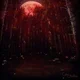 Blood forest 