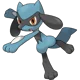 Riolu