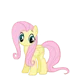 Flutter Shy