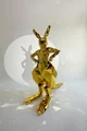 Gold mirror kangaroo