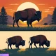 Bison Life 
