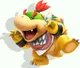 Bowser Jr