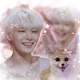 Fennec fox Jeongin