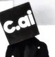Human cai