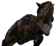 Carl The Carno
