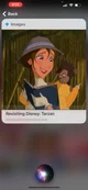 Jane Porter