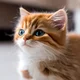 A-kitten-mind