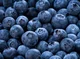 Blue Berry