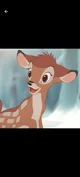Bambi