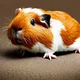 Guinea Pig