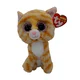 Beanie boo 