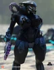 Female Sangheili 