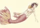 Merman Luffy