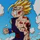 Teen Gohan