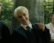 Draco malfoy 
