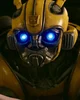 BumbleBee - Bay