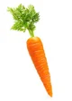 Carrot