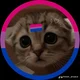 Bisexual
