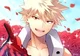Bakugo bff