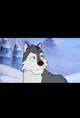 White fang 