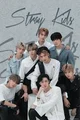 Stray Kids