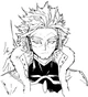 Hawks