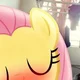 Fluttershy