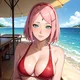 Sakura red bikini