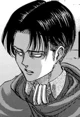 Levi Ackerman 